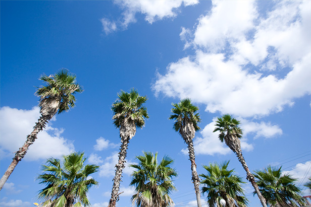 영성국제여행사메인화면