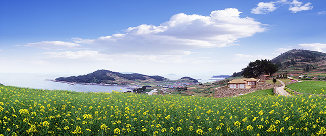영성국제여행사이미지