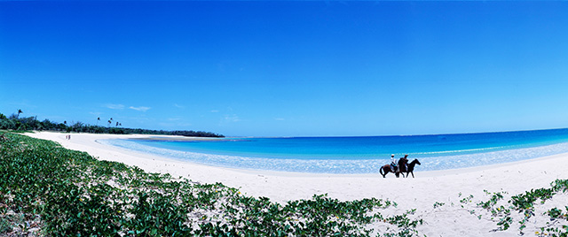 영성국제여행사이미지